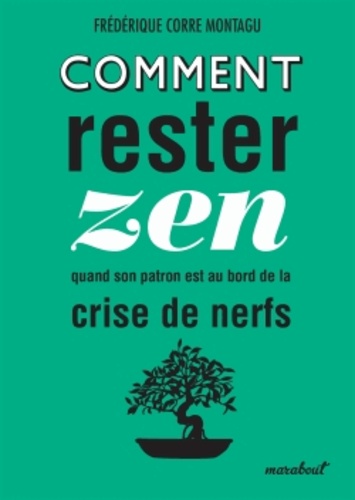 Comment Rester Zen Quand Son Patron Est Au Bord De La Crise De Nerfs