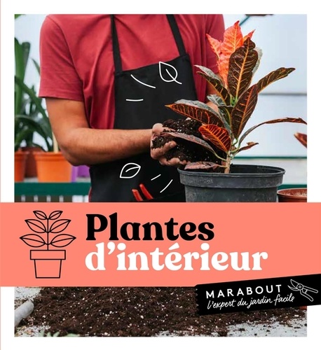 Plantes D'intérieur