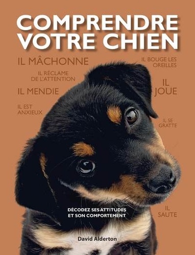 Comprendre Votre Chien - Décodez Les Attitudes Et Le Comportement De Votre Chien