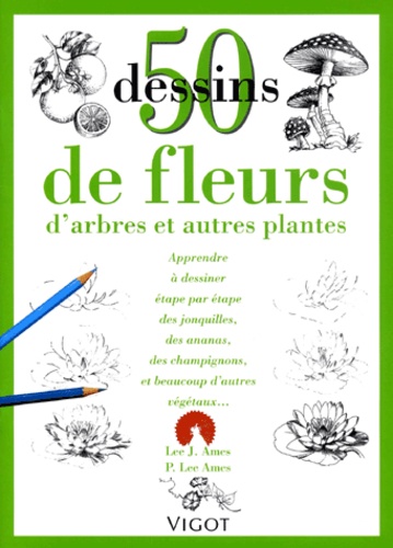 50 Dessins De Fleurs, D'arbres Et Autres Plantes