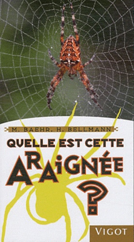 Quelle Est Cette Araignée ?