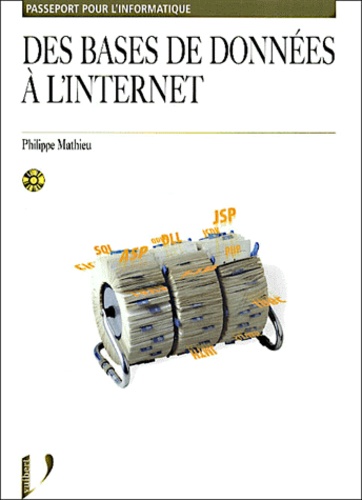 Des Bases De Données À L'internet - Avec Cd-Rom