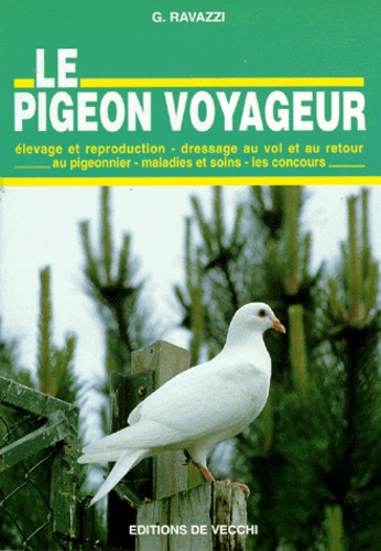 Le Pigeon Voyageur