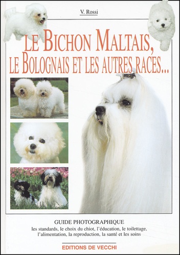Le Bichon Maltais - Le Bichon Bolonais Et Autres Bichons