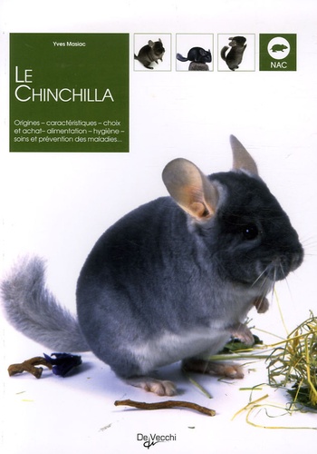 Le Chinchilla