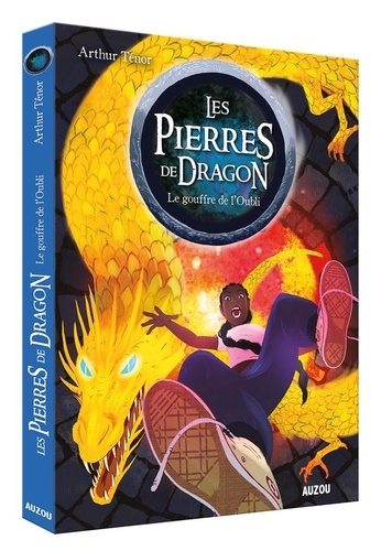 Les Pierres De Dragon - Tome 2 - Le Gouffre De L'oubli