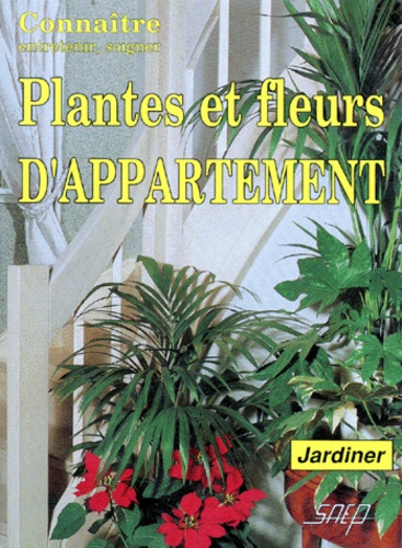 Plantes Et Fleurs D'appartement