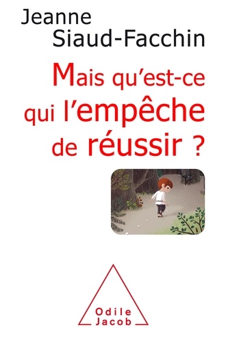 Mais Qu'est Ce Qui L'empêche De Réussir ? - Comprendre Pourquoi, Savoir Comment Faire