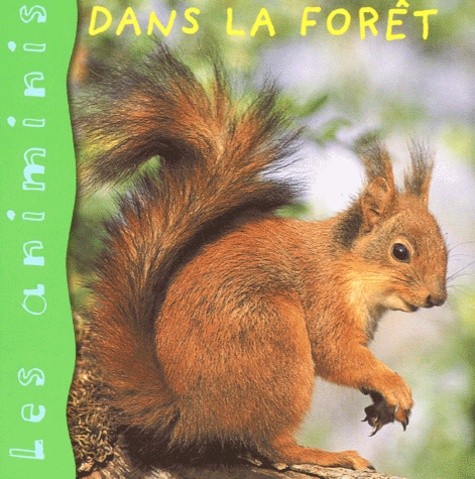 Dans La Forêt