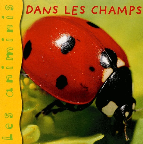 Dans Les Champs