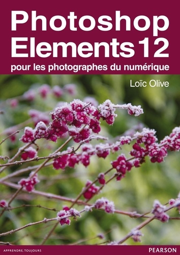 Photoshop Elements 12 Pour Les Photographes Du Numérique