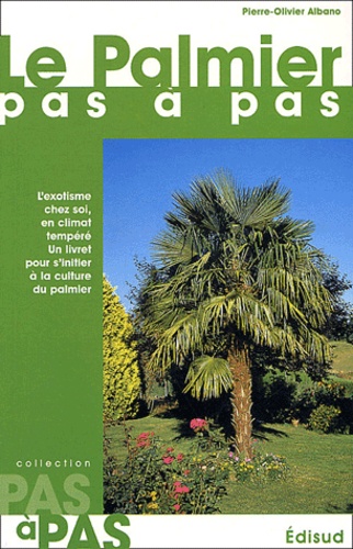 Le Palmier Pas À Pas