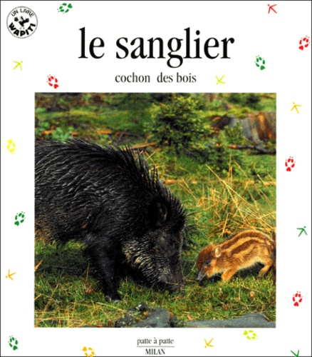 Le Sanglier - Cochon Des Bois
