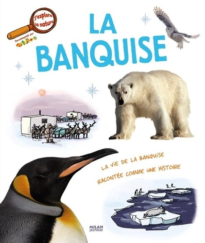 La Banquise