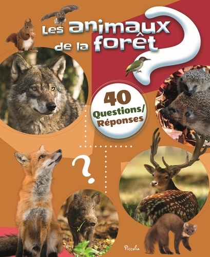 Les Animaux De La Forêt - 40 Questions Réponses