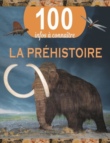La Préhistoire