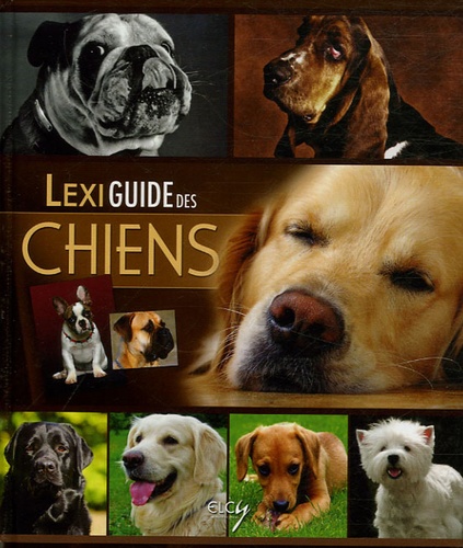 Lexiguide Des Chiens