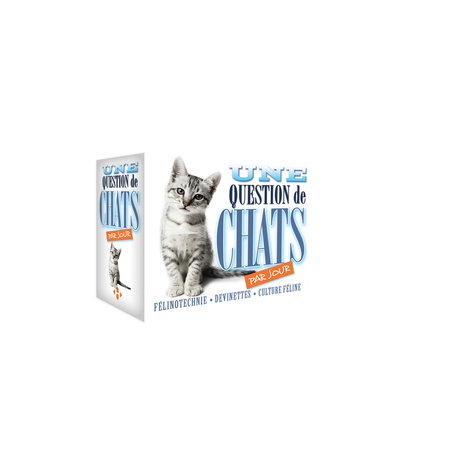 Une Question De Chat Par Jour - Edition 2017