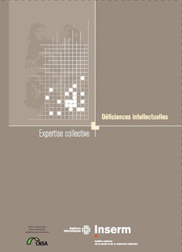 Déficiences Intellectuelles