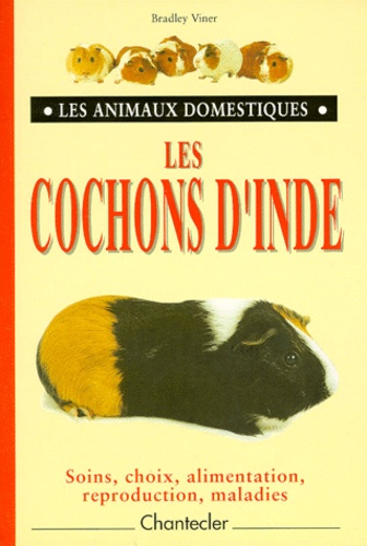 Les Cochons D'inde