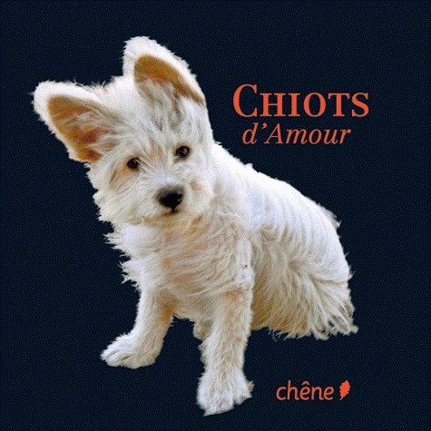 Chiots D'amour