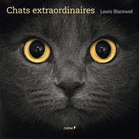 Chats Extraordinaires