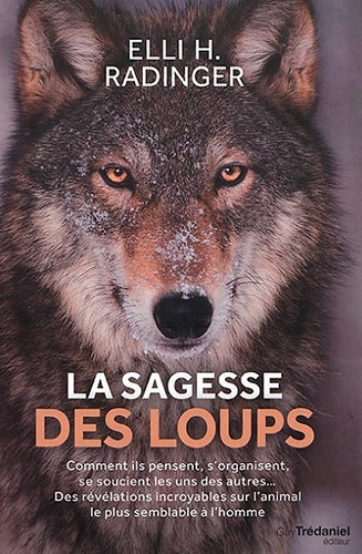 La Sagesse Des Loups - Comment Ils Pensent, S'organisent, Se Soucient Les Uns Des Autres