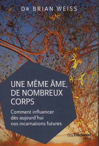Une Même Âme, De Nombreux Corps - Comment Influencer Dès Aujourd?Hui Nos Incarnations Futures