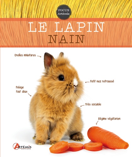 Le Lapin Nain