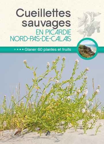 Cueillettes Sauvages En Picardie-Nord-Pas-De-Calais - 60 Plantes Et Fruits À Glaner