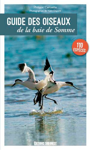Guide Des Oiseaux De La Baie De Somme - 110 Espèces