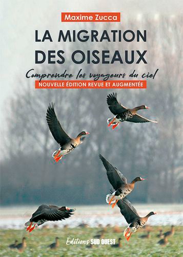 La Migration Des Oiseaux - Comprendre Les Voyageur Du Ciel