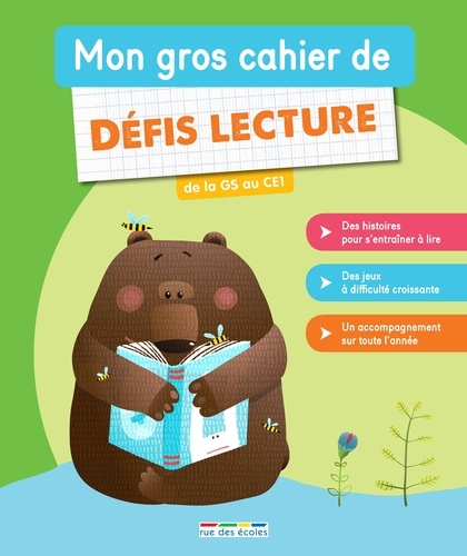 Mon Gros Cahier De Défis Lecture De La Gs Au Ce1