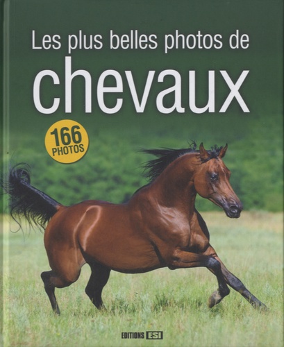 Les Plus Belles Photos De Chevaux