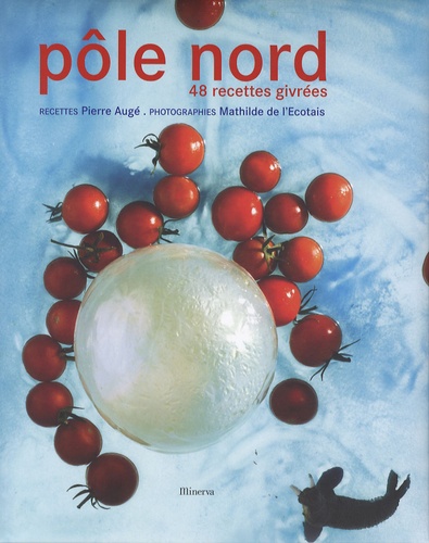 Pôle Nord - 48 Recettes Givrées
