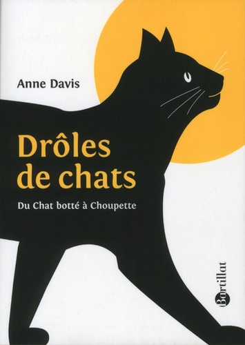Drôles De Chats