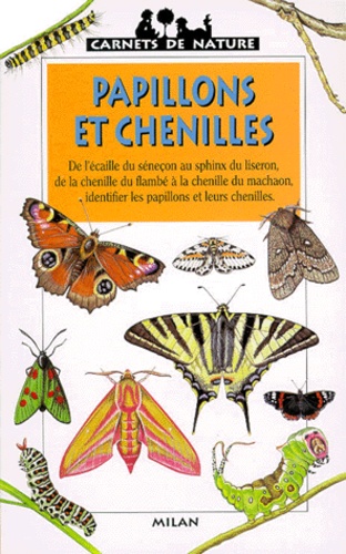 Papillons Et Chenilles
