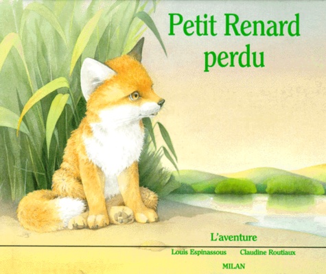 Petit Renard Perdu