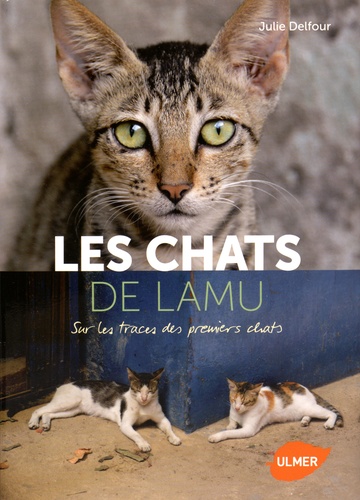 Les Chats De Lamu - Sur Les Traces Des Premiers Chats