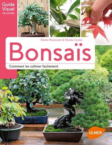 Bonsaïs - Comment Les Cultiver Facilement
