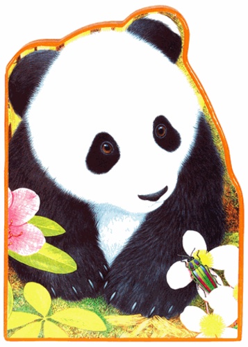 Ping Le Panda - La Chine