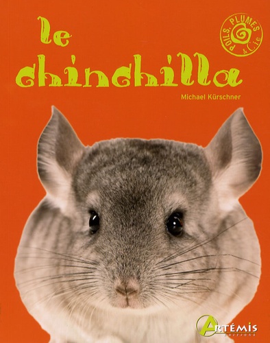 Le Chinchilla