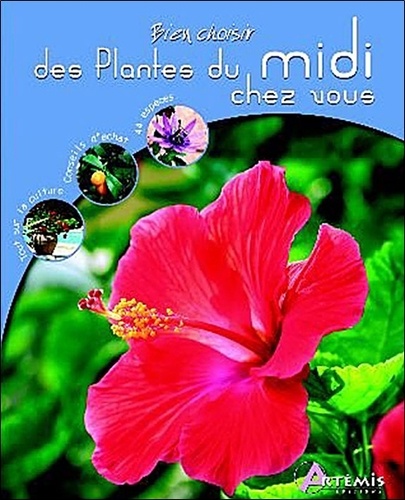 Bien Choisir Des Plantes Du Midi Chez Vous