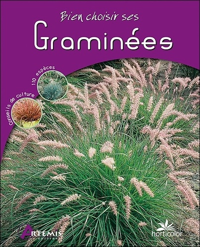 Graminées