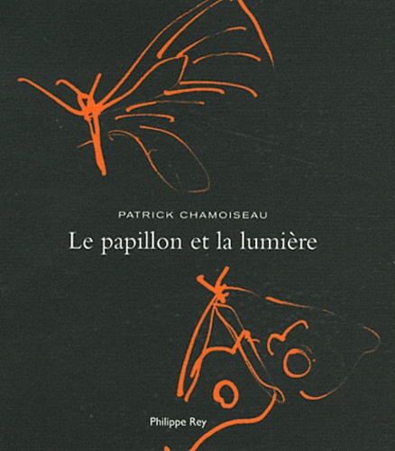 Le Papillon Et La Lumière