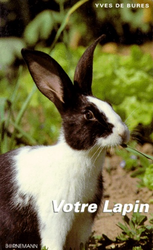 Votre Lapin