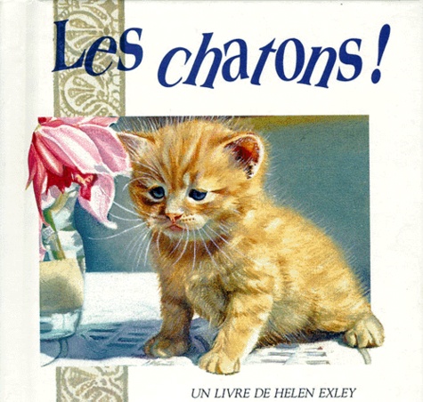 Les Chatons !