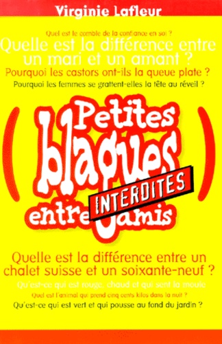 Petites Blagues Interdites Entres Amis