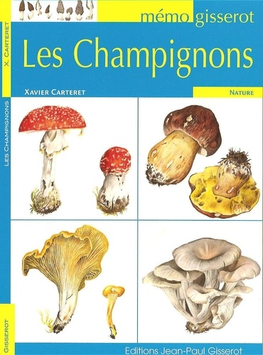 Les Champignons