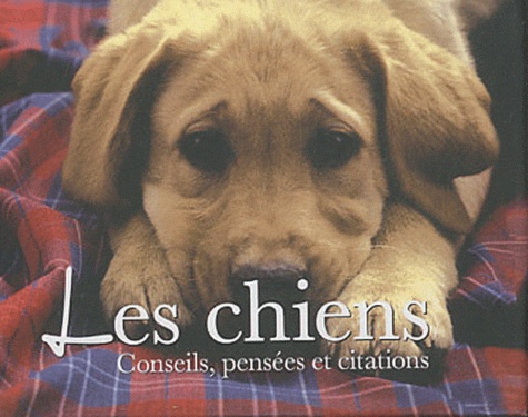 Les Chiens - Conseils, Pênsées Et Citations